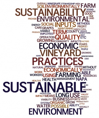Word Cloud