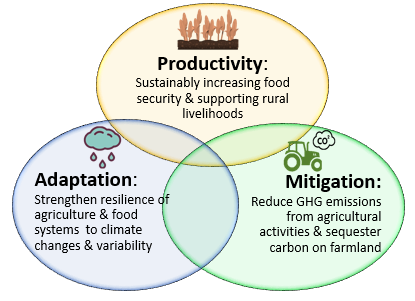 Diagram of climate smart agriculture focal areas 