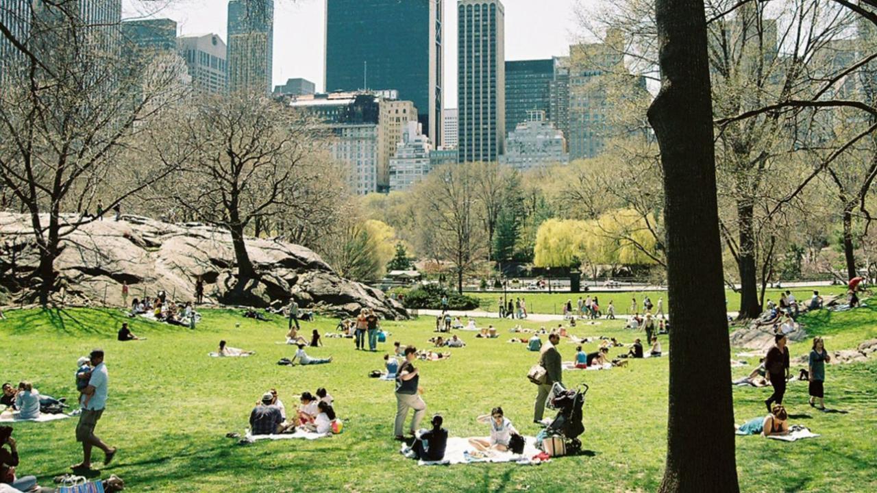 park