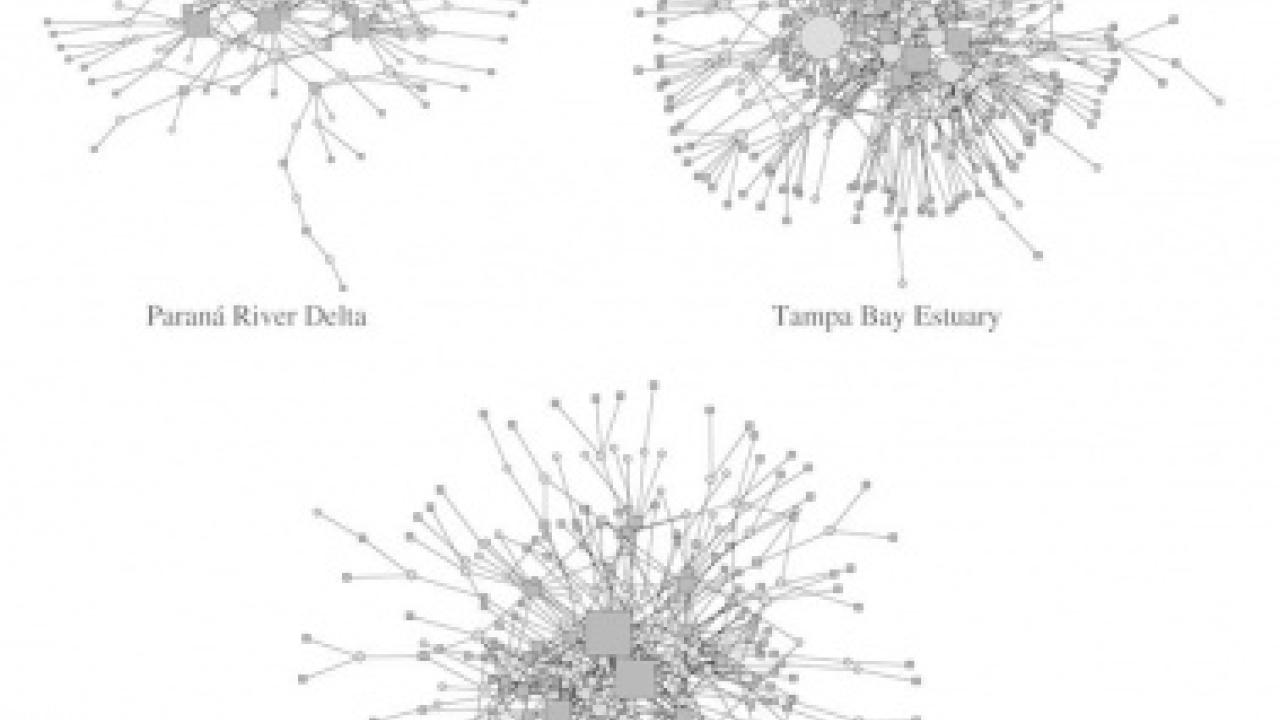 figure showing The Complex Governance Systems in the Three Research Sites