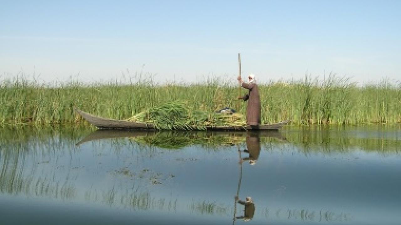 Iraq marshlands