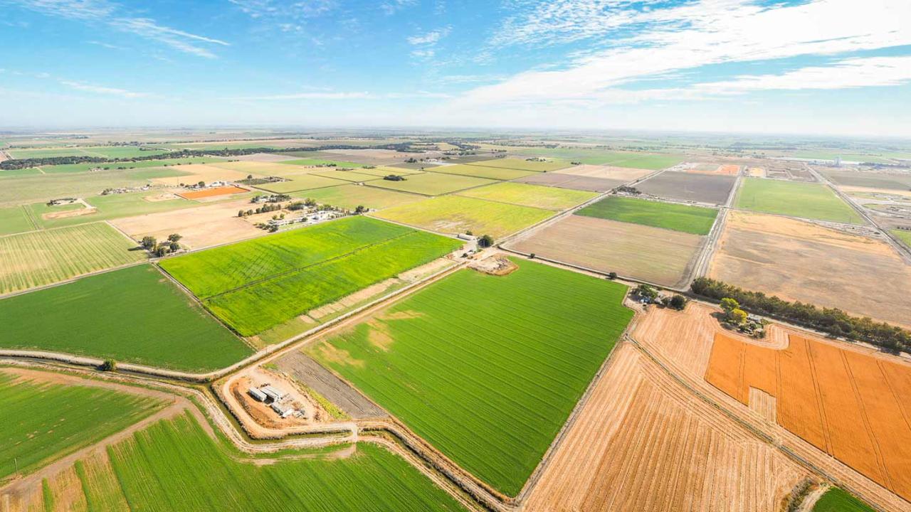 Central Valley Agriculture