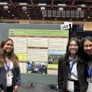 Group presenting